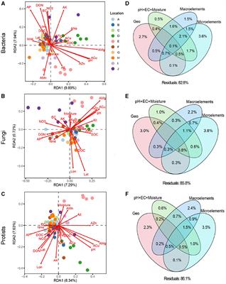 Neglected role of microelements in determining soil microbial communities and fruit micronutrients in loquat orchards